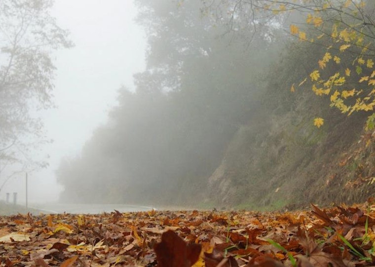 Los Angeles Grapples with Dense Fog and Air Quality Alert Amidst Sunny Forecast