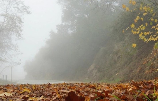 Los Angeles Grapples with Dense Fog and Air Quality Alert Amidst Sunny Forecast