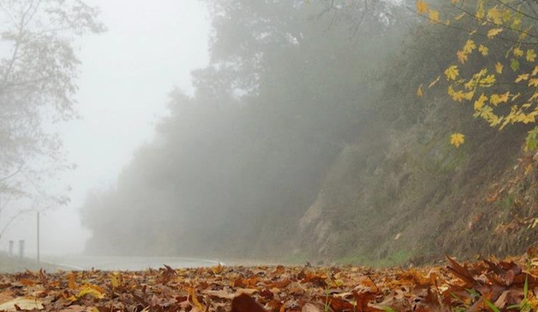 Los Angeles Grapples with Dense Fog and Air Quality Alert Amidst Sunny Forecast