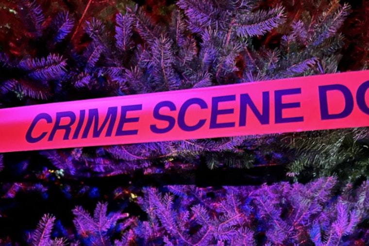 Man Critically Injured in Stabbing Near Seattle's Licton Springs Park, Suspect At Large
