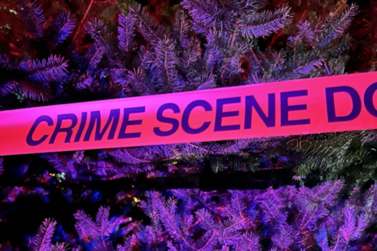 Man Critically Injured in Stabbing Near Seattle's Licton Springs Park, Suspect At Large