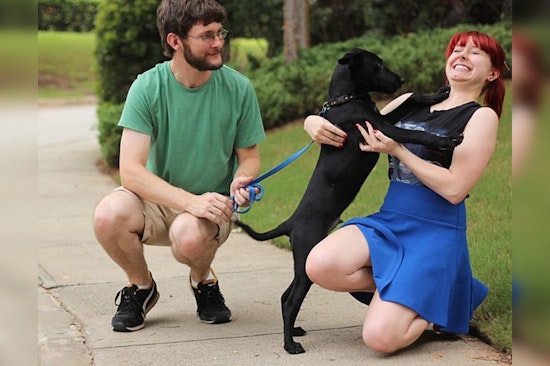 Mankato Seeks Compassionate Part-Time Animal Impound Worker, Applications Open until December 12