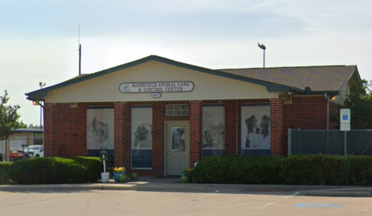 Mansfield Animal Shelter Offers Half-Price Adoptions to Find Pets Forever Homes for the Holidays