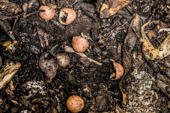 Maricopa County Sues Laveen Compost Business Over Zoning Violations Amidst Persistent Odor Complaints