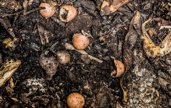 Maricopa County Sues Laveen Compost Business Over Zoning Violations Amidst Persistent Odor Complaints