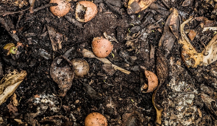 Maricopa County Sues Laveen Compost Business Over Zoning Violations Amidst Persistent Odor Complaints