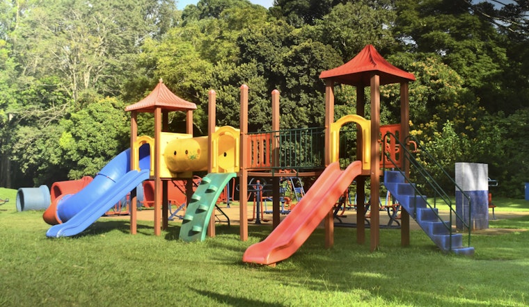 Marquette Seeks Public Input on Potential Dog Ban at Playgrounds Amid Safety Concerns