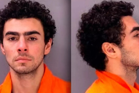 Maryland Man Pleads Not Guilty to Murder and Terrorism Charges in UnitedHealthcare CEO's Death