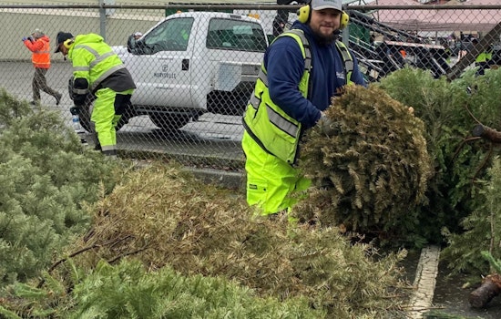 Marysville Offers Free Post-Holiday Recycling and Tree-Cycling Event for Sustainable Waste Management