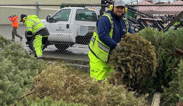 Marysville Offers Free Post-Holiday Recycling and Tree-Cycling Event for Sustainable Waste Management