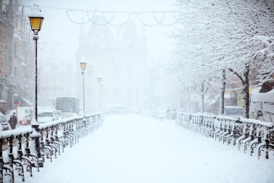 Massachusetts Engulfed in Snow as Traffic Delays and School Closures Hit Boston and Beyond