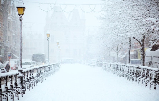 Massachusetts Engulfed in Snow as Traffic Delays and School Closures Hit Boston and Beyond