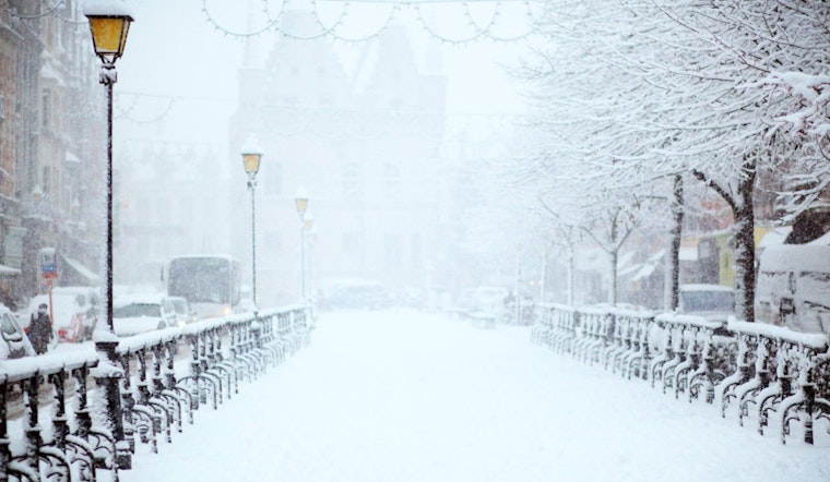 Massachusetts Engulfed in Snow as Traffic Delays and School Closures Hit Boston and Beyond