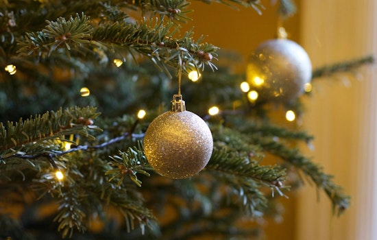 Maui County Launches Temporary Christmas Tree Drop-Off Sites in Kīhei and Makawao for Eco-Friendly Disposal