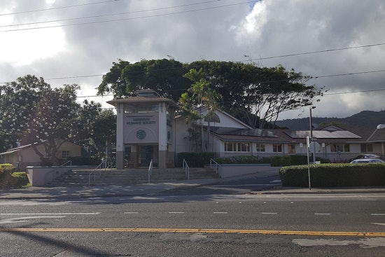 Maui Humane Society Seeks Foster Homes for Pets Ahead of New Year's Eve Firework Fears