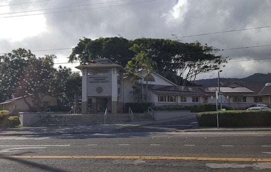 Maui Humane Society Seeks Foster Homes for Pets Ahead of New Year's Eve Firework Fears