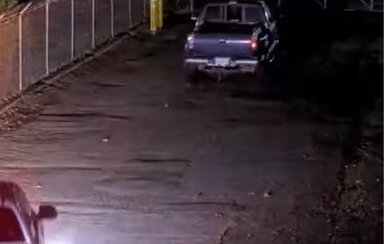 VIDEO: Memphis Police Seek Information on Suspects in Failed Trailer Theft and Vandalism on Shelby Oaks Drive