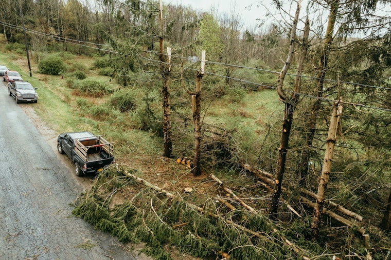 Memphis Rallies To Clear Debris After Storms Down Trees, Disrupt