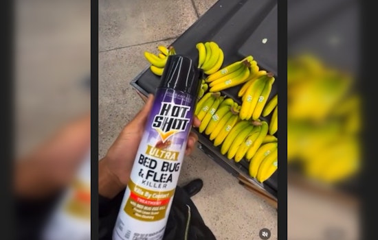 Mesa Man Charged with Poison Introduction After Filming Pesticide Prank at Local Walmart