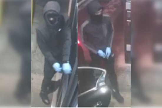 Metropolitan Police Seek Public's Aid in Identifying Suspects of Maryland Avenue Burglary