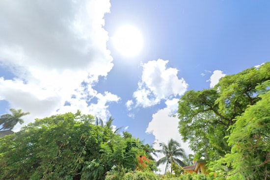 Miami Anticipates Sunny Spells and Showers with Windy Conditions to Continue