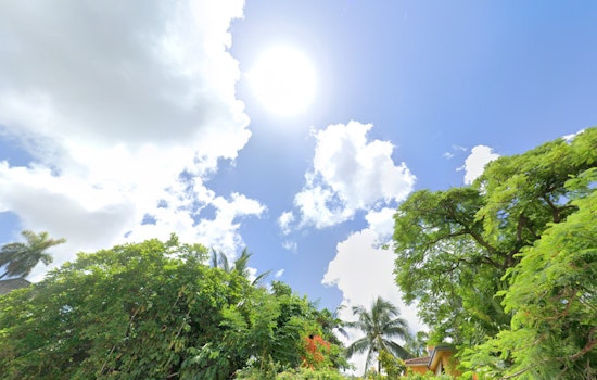 Miami Anticipates Sunny Spells and Showers with Windy Conditions to Continue