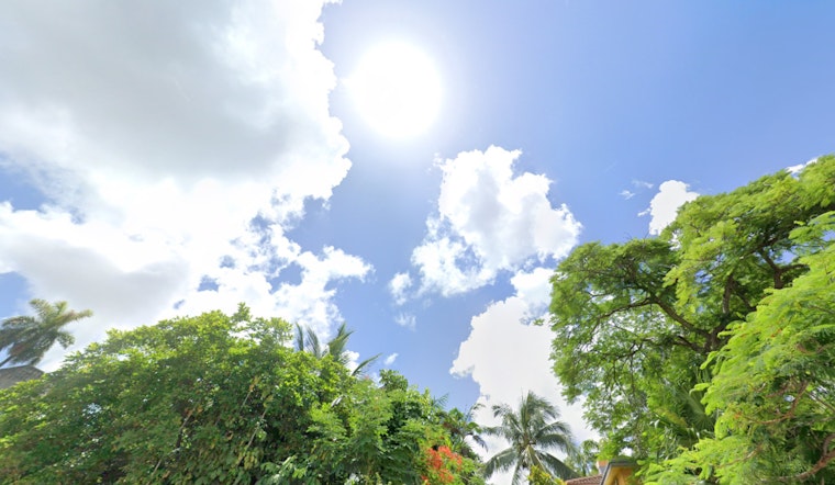 Miami Anticipates Sunny Spells and Showers with Windy Conditions to Continue