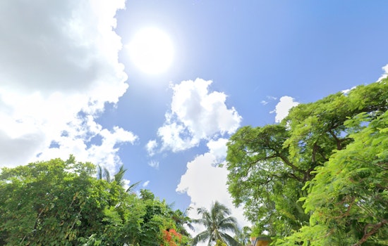 Miami Welcomes a Bright and Sunny Day with Cool Morning Temperatures and a High of 75 Degrees