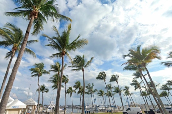 Miami Welcomes Moderate Temps and Rip Current Risk as Holiday Season Warms Up
