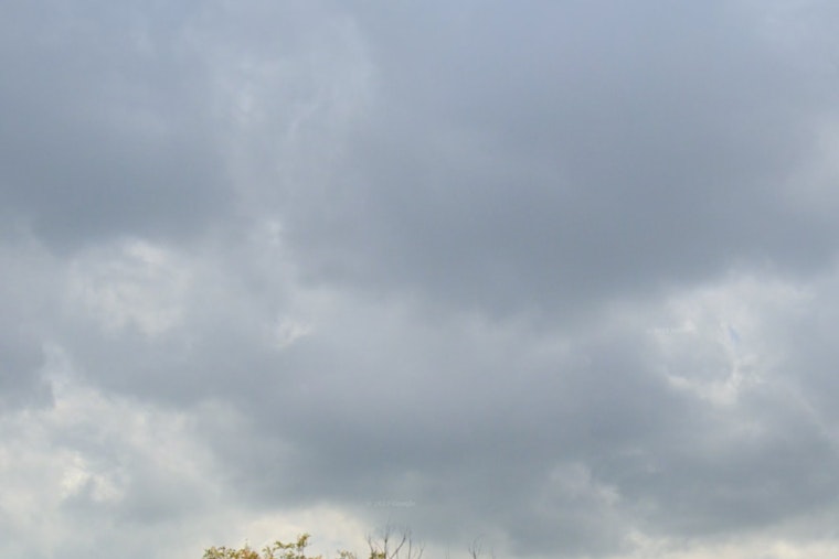 Miami's End-of-Year Forecast, Clouds and Showers Likely as South Florida Braces for a Gray Winter Weekend