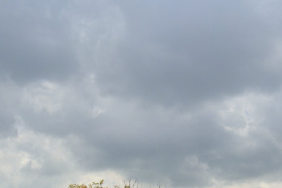 Miami's End-of-Year Forecast, Clouds and Showers Likely as South Florida Braces for a Gray Winter Weekend