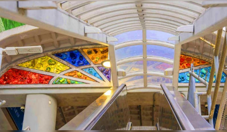 Miami's Metromover Extends Service for Art Basel, Offering a Cultural Commute Experience