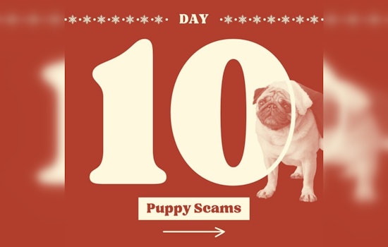 Michigan AG Nessel Alerts Consumers to Spike in Puppy Scams During Holidays