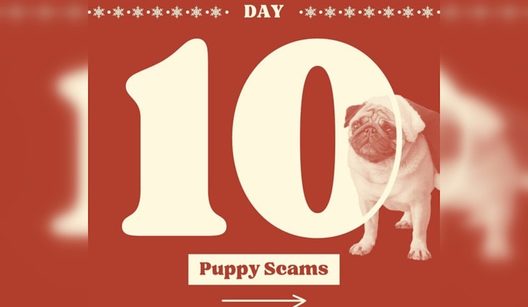 Michigan AG Nessel Alerts Consumers to Spike in Puppy Scams During Holidays