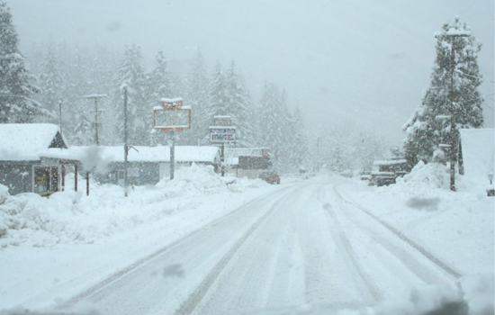Michigan Braces for Major Snowstorm: Up to a Foot of Snow Expected across 24 Counties as Winter Storm Watch Goes Into Effect