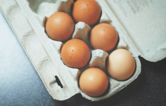 Michigan Gears Up for Cage-Free Egg Law Impacting Retail Prices and Farming Practices