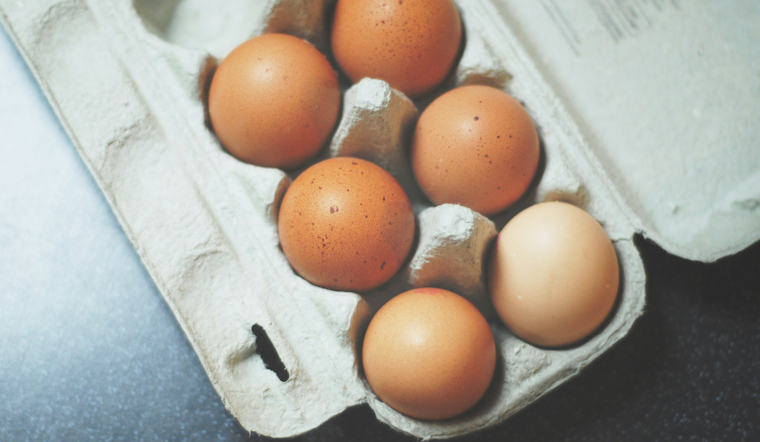 Michigan Gears Up for Cage-Free Egg Law Impacting Retail Prices and Farming Practices
