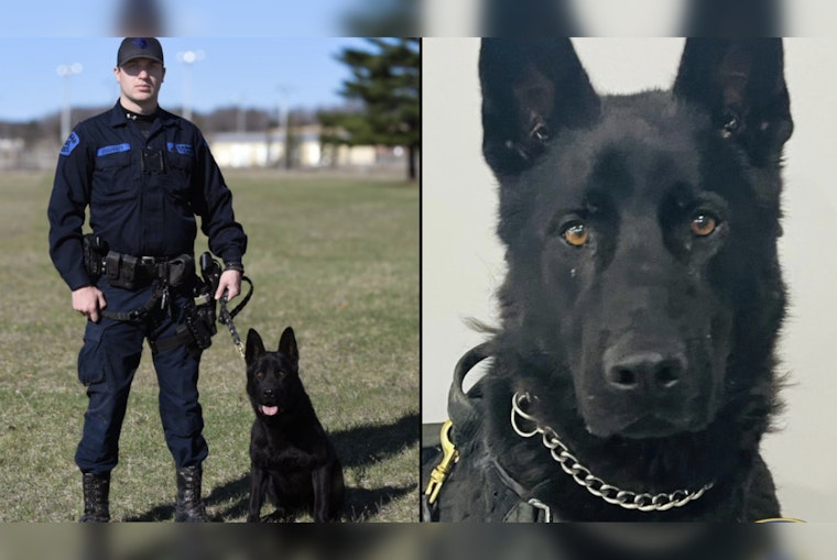 Michigan State Police K-9 Thor Recovers After Drug Exposure During Flint Home Search