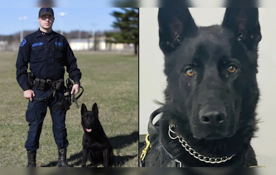 Michigan State Police K-9 Thor Recovers After Drug Exposure During Flint Home Search