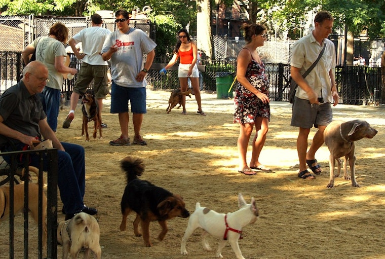 Minnetonka Seeks Volunteers for New Dog Park Advisory Work Group