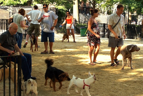 Minnetonka Seeks Volunteers for New Dog Park Advisory Work Group