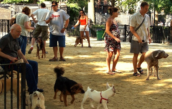 Minnetonka Seeks Volunteers for New Dog Park Advisory Work Group