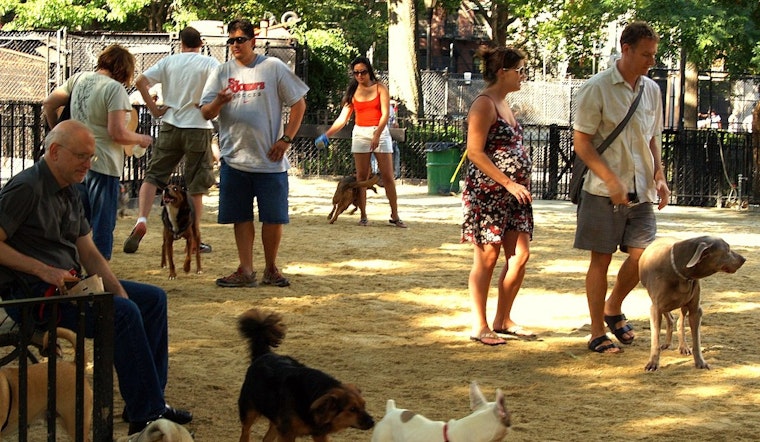 Minnetonka Seeks Volunteers for New Dog Park Advisory Work Group
