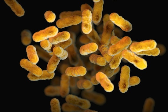 MIT Study Reveals Human Gut Bacteria's Sluggish Update of CRISPR Defenses Compared to Lab Strains