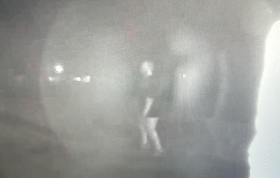 Morgan County Man, 64, Hospitalized After Home Invasion, Suspect Hunted by MCSO