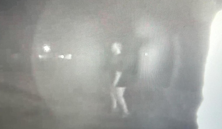 Morgan County Man, 64, Hospitalized After Home Invasion, Suspect Hunted by MCSO
