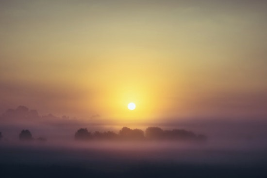 Morning Fog Covers Tampa as Weekend Weather Brings Sun and a Chance of Showers