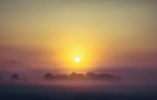 Morning Fog Covers Tampa as Weekend Weather Brings Sun and a Chance of Showers