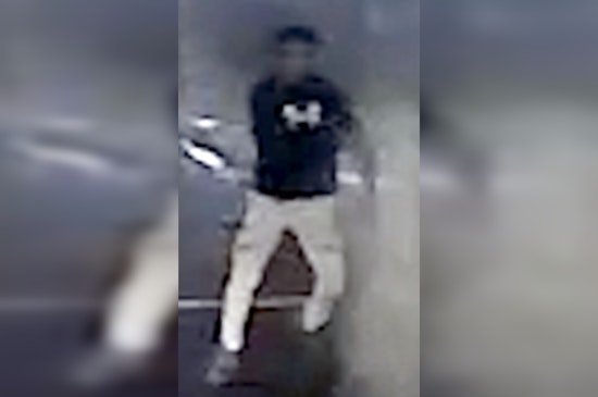 MPD Investigates Fatal Hit-And-Run Involving Stolen Vehicle in Southeast Washington, D.C.