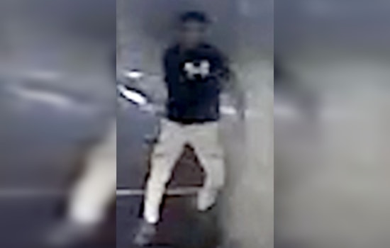 MPD Investigates Fatal Hit-And-Run Involving Stolen Vehicle in Southeast Washington, D.C.